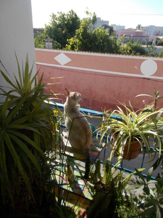 Ztir Apartment Olhao Exterior photo